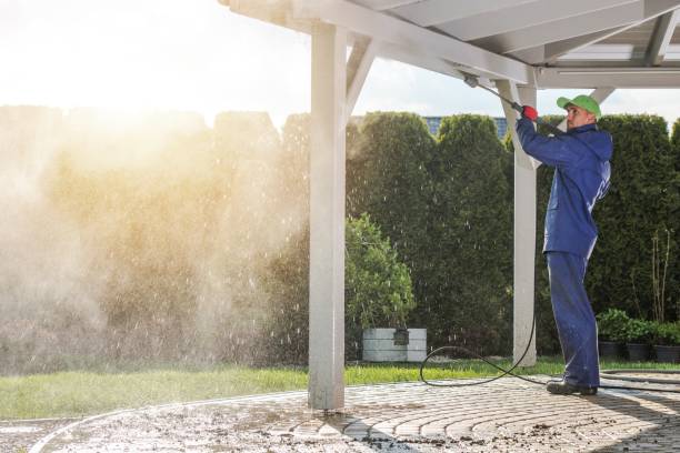 Animal Enclosure Cleaning in Boley, OK